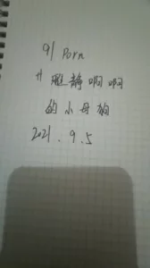 avlang论坛